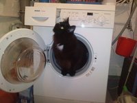 Out of the washing machine...