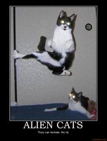 alien_cats_demotivational_poster_1234746539.jpg