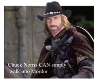 Chuck Norris can.jpg