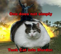 Tank Cat into Mordor.jpg