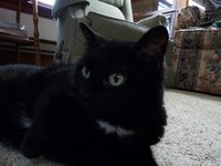 P1000017 (Custom).JPG (105.94 KiB) Viewed 6484 times compare with your bottom photo