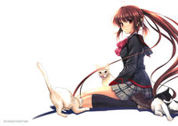 moe 146947 sample.jpg