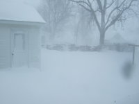 out my back door