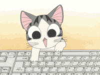 keyboard kitty.gif