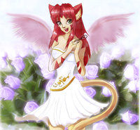 Catz 084.jpg