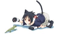 Catz 1672.jpg