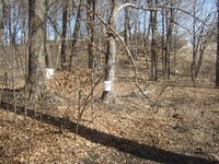 DSCF5272 (Large).JPG