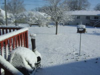 Yes this was taken April 23....... not February 23 Where is spring????