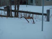 That  is the handles of my garden tiller sticking out of the snow, it's so deep even the engine is covered.