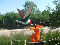 DSCF6160 (Large).JPG