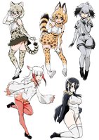 yande.re 420713 animal_ears kemono_friends leotard megane pantyhose tagme tail thighhighs wings-1.jpg