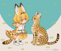 __serval_kemono_friends_drawn_by_pio_doragonheart__7b0b62b8c4ed7d32c712126b5635ca80.png