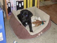 DSCF4402.JPG