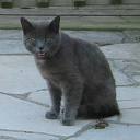You won't come close to my nip.....