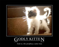 godly kitten.jpg