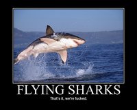 flying sharks.jpg