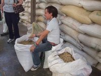 Here are the bags of raw coffee beans. She showed us the difference between regular and peaberry coffee. peaberry has a single bean, instead of the normal two, in a cherry. It is a more rare and premium coffee.