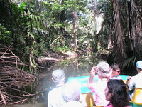 The canal to the Turtle Beach lodge