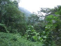 It's a jungle out there.