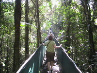 We crossed the river on these bridges and went for a hike in the rain forest.