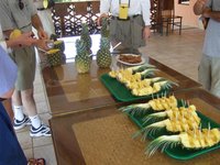 we were treated to some fresh pineapple and pini coladas, at 9 in the morning..... that's home brewed white rum he's pouring in one.