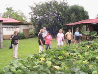 The woman's garden, she owned around 40 acres, and had cattle and a large garden plot.
